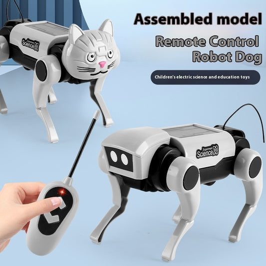 Remote Control Mechanical Dog And Cat 2 In1 Assembled Toy