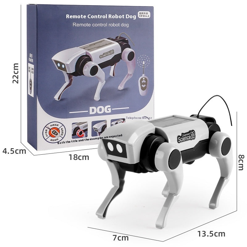 Remote Control Mechanical Dog And Cat 2 In1 Assembled Toy